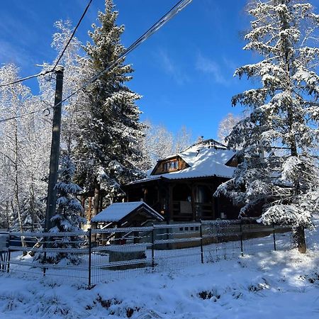 Cabana Din Padurea Belis Si Casuta Din Copac Клуж-Напока Экстерьер фото